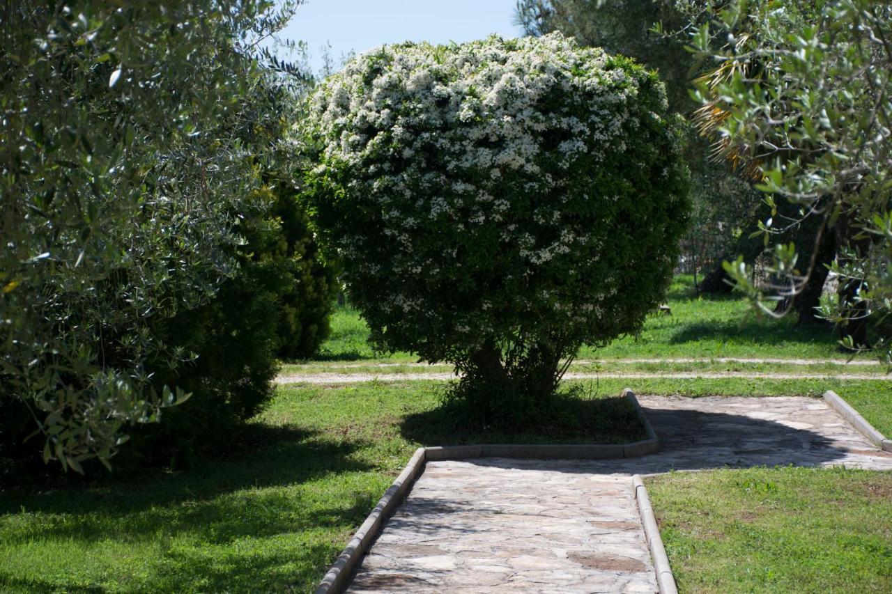 Sanja Apartments Sveti Servul Novigrad Istria Exterior foto